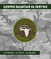 Нашивка на липучке "Силы Специальных Действий - Корпус А" круглая, фон олива