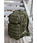 Рюкзак "Assault I" 20л, olive