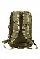 Рюкзак "Assault I" 20л, multicam